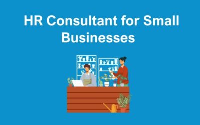 HR Consultant for Small Businesses