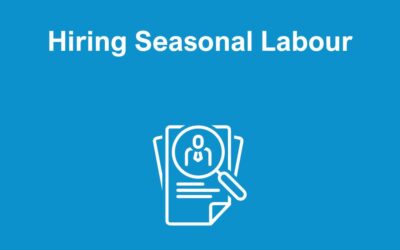 Approaches to Take When Hiring Seasonal Labour